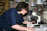 MICROSCOPE 002